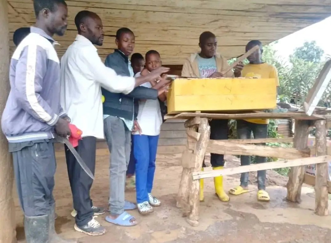 Projets agricoles et apicoles